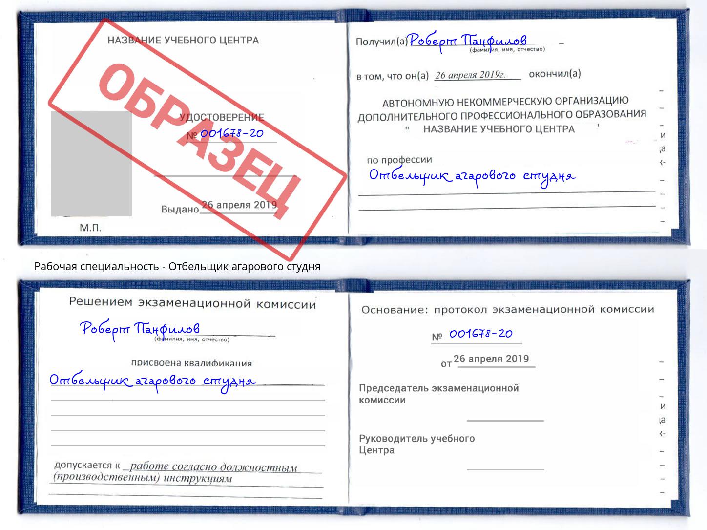 Отбельщик агарового студня Аша