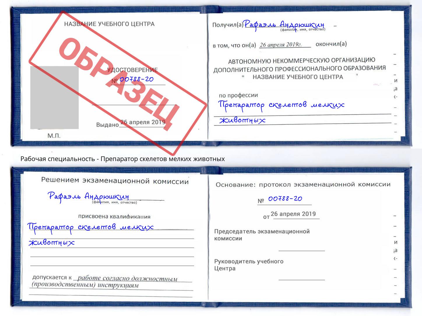 Препаратор скелетов мелких животных Аша