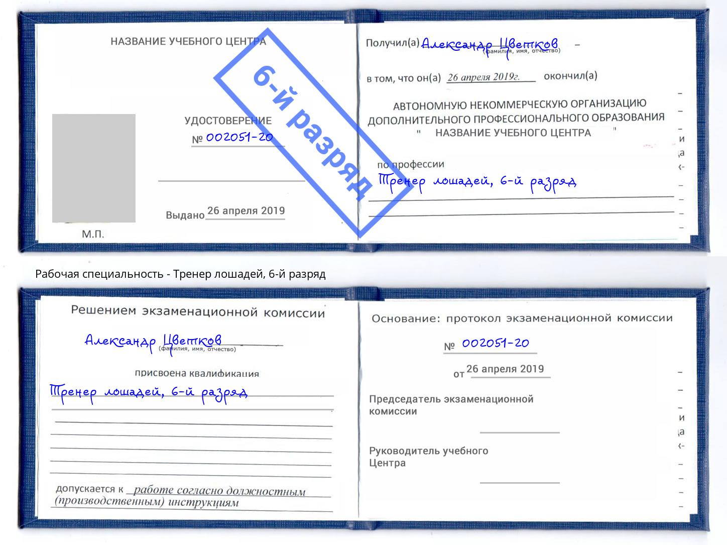 корочка 6-й разряд Тренер лошадей Аша