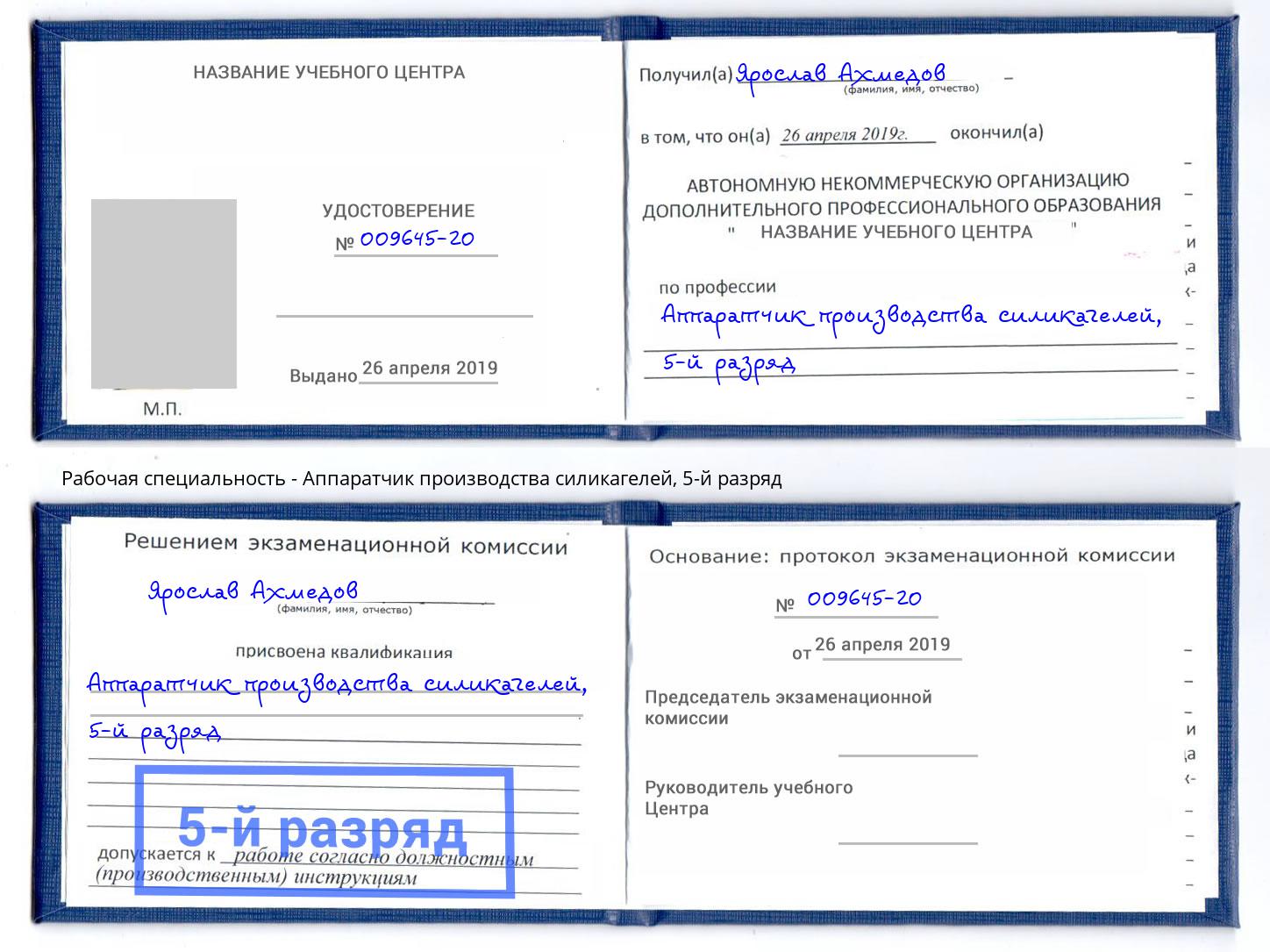 корочка 5-й разряд Аппаратчик производства силикагелей Аша