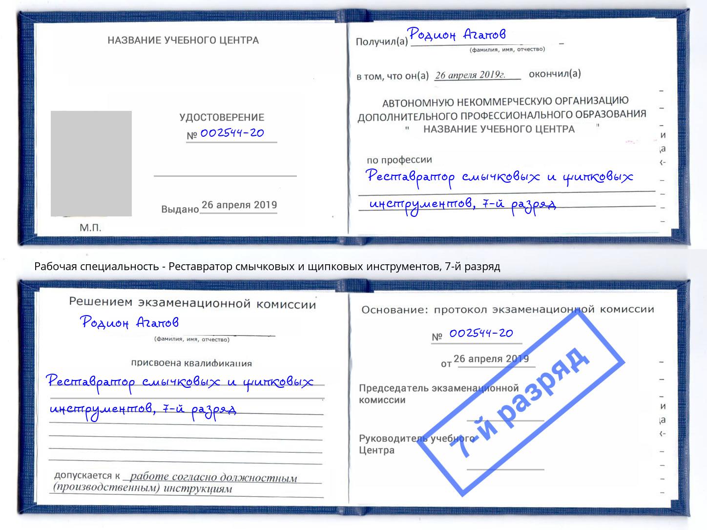 корочка 7-й разряд Реставратор смычковых и щипковых инструментов Аша